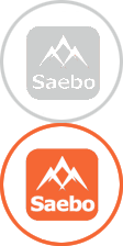 Saebo Specialists
